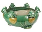 Porcelain Round Lucky Bamboo Daffodil Bonsai Pot #15408 318yeY7ronL. SL160 Porcelain Round Lucky Bamboo Daffodil Bonsai Pot #15408