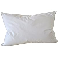 Natural Comfort Standard Classic White Goose Down Feather Pillow, 40-Ounce, Set of 2