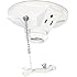 Cooper Wiring Devices 667-SP 660-Watt 125-volt Medium Base Ceiling Receptacle Lamp Holder with Pull Chain, Porcelain, White Color