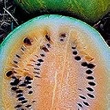 Seeds of Change S10808 Certified Organic Desert King Watermelon