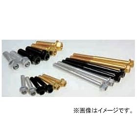 N-PROJECT �|�W�|���[�j TER�A���~ �t�����W�Z�p�{���g M8�~15 �J���[:Gold(102208154G)