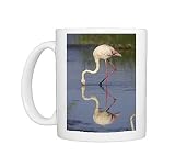 Photo Mugs