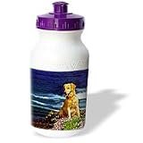 Dogs Golden Retriever - Golden Retriever - Water Bottles