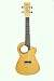 Eleuke Concert Ukulele with Chorus Feature Flame Maple Solid Body Electric/MP3