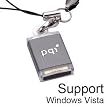 PQI 2GB Mini I-Stick i810 Intelligent Stick Slim USB2.0 Flash Memory Pen Drive: BF07-2032R0131 (Gray, Retail)