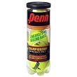 Penn Championship Regular Duty Tennis Balls - Can