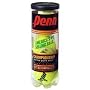 Penn Championship Regular Duty Tennis Balls - Can