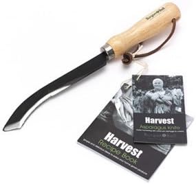 Asparagus Knife High Carbon Steel