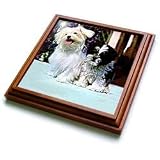 Dogs Maltese - Maltese - Trivets