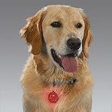 Puppia Soft Dog Harness (Mesh) Orange Large