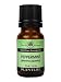 Peppermint 100% Pure Essential Oil - 10 ml