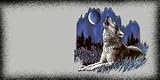AIRBRUSHED LICENSE PLATES - WOLF LICENSE PLATE - #1148