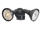 Garden Water Features & Outdoor Fountains item: Designers Fountain P218C-87 Motion Lights