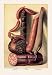 12 X 18 Stretched Canvas Poster Sausage