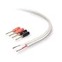 Belkin PureAV AV23001-50-WH 50-Foot 16-Gauge Speaker Cable and Pins (White)
