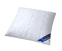 Schlafgut 03550-09009-10 Kissen gesteppt / Schlafgut Utah / 080x080