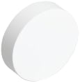Porous Ceramic Disc, Pure White, 0.5 Bars Air Entry, 6 Micron Pore Size, 2-1/8