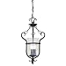 Sea Gull Lighting 5101-07 Manor House Collection Three-Light Pendant, Weathered Iron Finish with Clear Seeded Glass