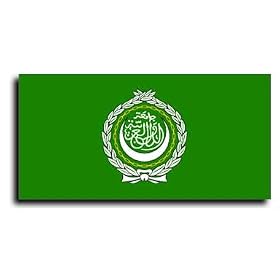 League of Arab States - Foreign Historical Flags