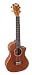 Lanikai LM-TCA Tenor Cutaway Mahogany Ukulele with Fishman Preamp