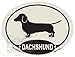   - Dachshund Euro Decal