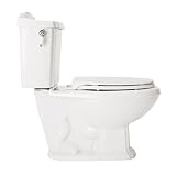 Toilet Two Piece Elongated by American Standard - 2483.019 in Silver