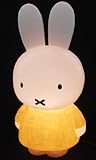 ミッフィー モチーフライト 白熱球 防雨型 無点滅