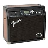 G-DEC EXEC Guitar Combo Amp