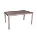 Produkt-Bild: Gartentisch Aluminium / Non-Wood 150x90cm Champagner