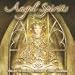 Angel Spirits 2010 Wall Calendar