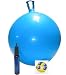 Hop Ball With FREE DVD And FREE Pump