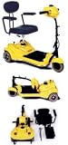 Mini Traveler Scooter