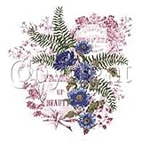Frame Of Beauty Adult T-Shirt