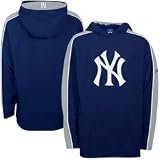 Nike New York Yankees Ash 2009 World Series Champions Celebration Hoody Sweatshirt