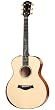 Taylor Guitars 2010 Fall Limited GS-FLTD Grand Symphony Acoustic Electric Guitar