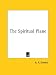 Search : The Spiritual Plane