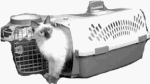 Doskocil #21088 Medium GRY/Olive Pet Taxi