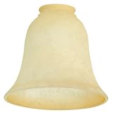 Craftmade Fan 104 Antique Scavo Bell Glass