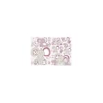 Noukies D�coration Murale Autocollant...