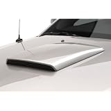 3dCarbon 2005-2009 Mustang Hood Scoop II (unpainted) by Unknown