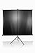 Elite Screens Tripod Series, 99-inch Diagonal 1:1, Portable Pull Up Projector Projection Screen, Model: T99UWS1