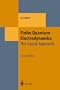 Finite Quantum Electrodynamics: The Causal Approach (Theoretical and Mathematical Physics)