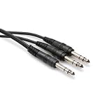 5Ft Y Cable 1/4" Trs To Dual 1/4" Trs With White Earbud Headphones