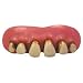 Billy Bob Teeth - Caveman