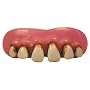 Billy Bob Teeth - Caveman