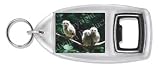 Review Advanta  / THREE BABY OWLS On TREE Bottle Opener