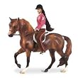 BREYER HORSES LET'S GO RIDING ENGLISH