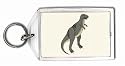Albertosaurus Keychain