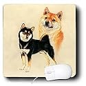 Dogs Shiba Inu - Shiba Inu - Mouse Pads