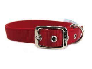 Double Thick Nylon Deluxe Dog Collar, 1